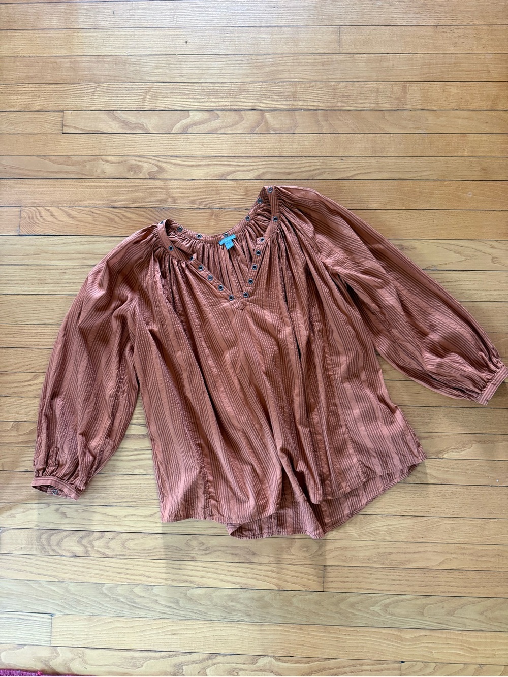 Rust Peasant Blouse with Embellished V-Neck